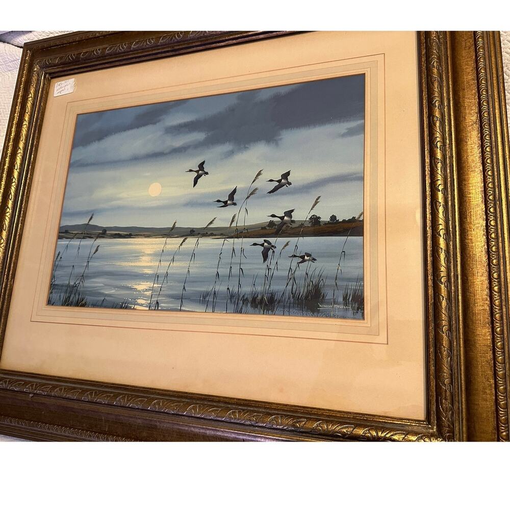 Along‎ the Coast Waterfowl Watercolor Signed Winston Megoran Coastal Art